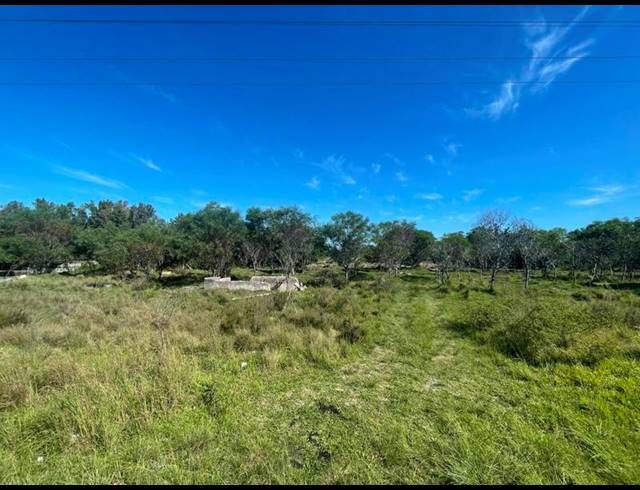 LAND FOR SALE IN GREENBUSHES